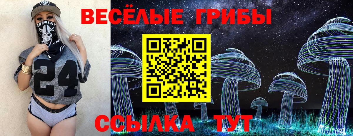 Псилоцибиновые грибы Psilocybe  Вход с VPN  наркотики  Грязи  Псилоцибиновые грибы GOLDEN TEACHER 